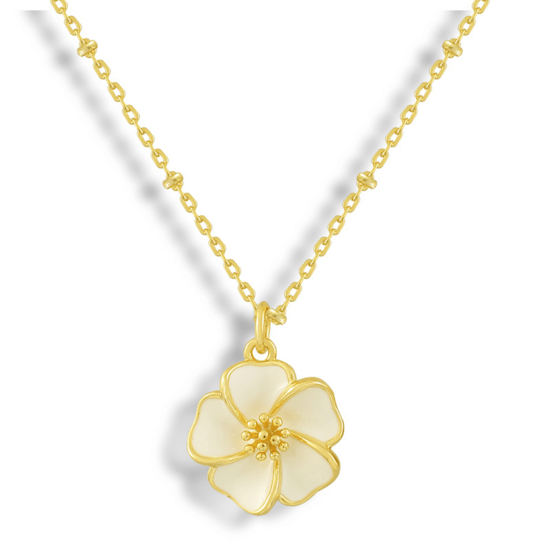 Honolulu Necklace - AQeCom
